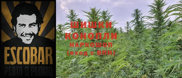 тгк Козловка