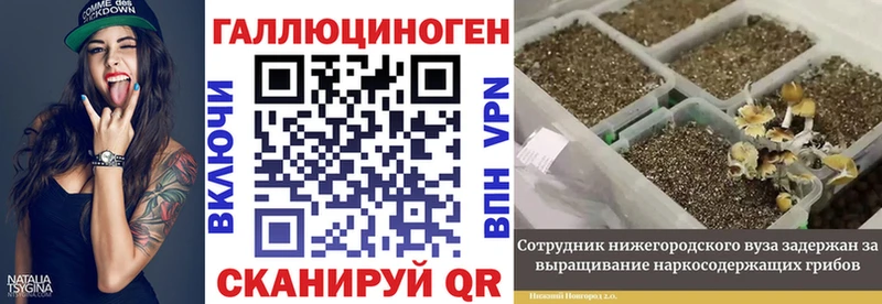 Псилоцибиновые грибы Magic Shrooms  Купить где  Тейково 
